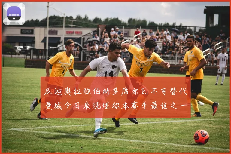 瓜迪奥拉称伯纳多席尔瓦不可替代曼城今日表现堪称本赛季最佳之一