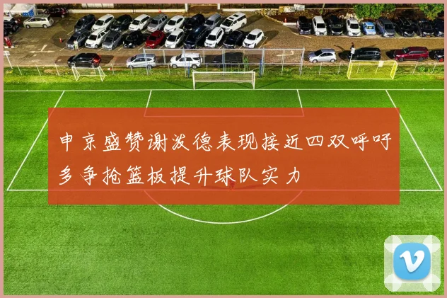 申京盛赞谢泼德表现接近四双呼吁多争抢篮板提升球队实力