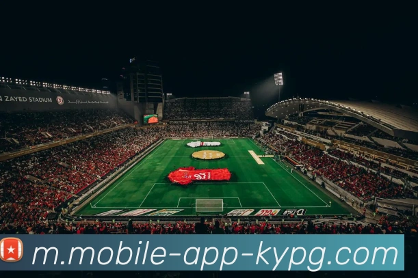 开元棋牌APP 封面图